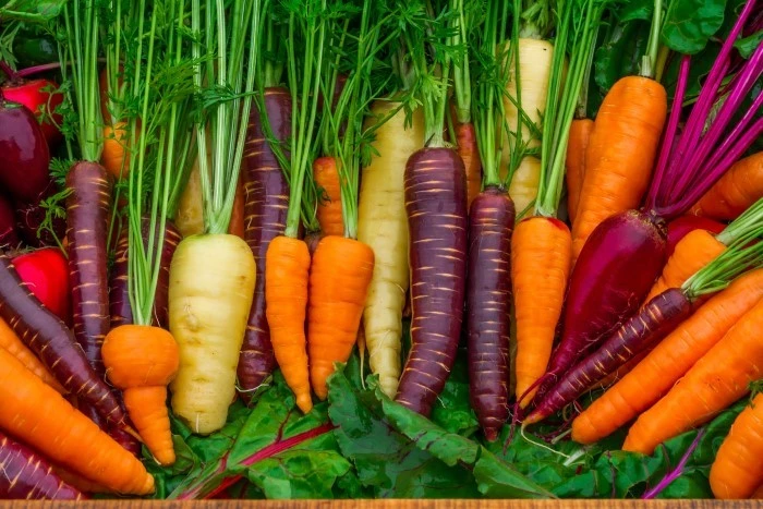 انواع هویج برای رژیم غذایی