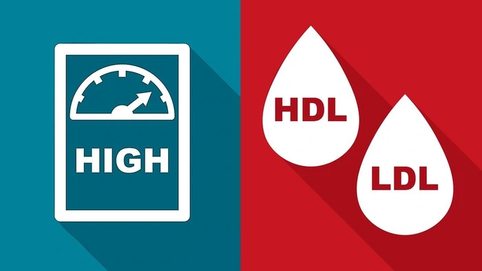 تعیین حدود LDL و HDL