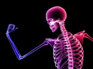 اصول سلامت استخوان