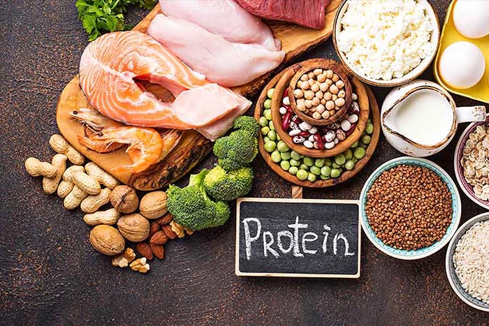 مواد غذایی پرتئینی لازم برای بدن